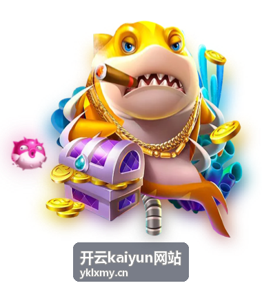 开云kaiyun网站功能分区示意封面